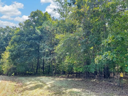 Buckhead, GA 30625 Morgan County