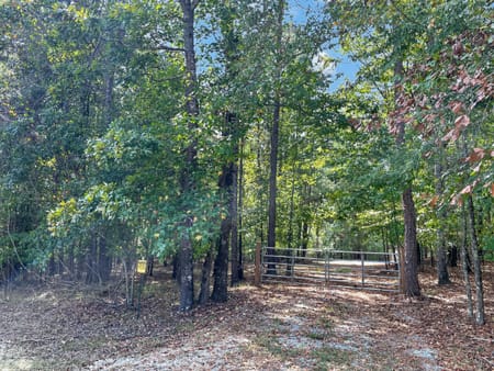 Buckhead, GA 30625 Morgan County