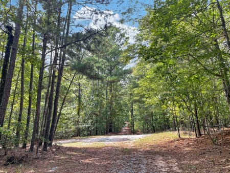 Buckhead, GA 30625 Morgan County