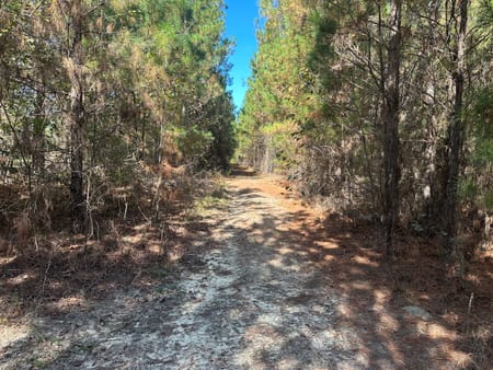Sylvania, GA 30467 Screven County