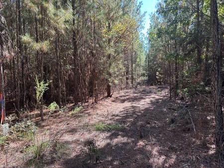 Sylvania, GA 30467 Screven County