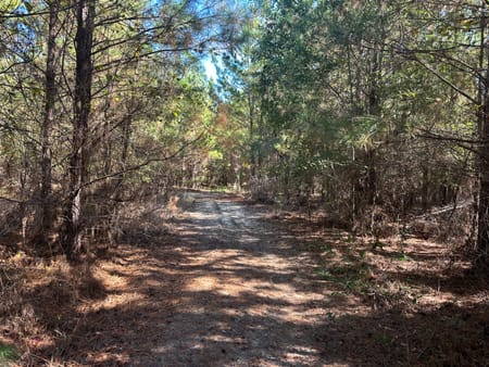 Sylvania, GA 30467 Screven County