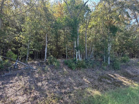 Sylvania, GA 30467 Screven County