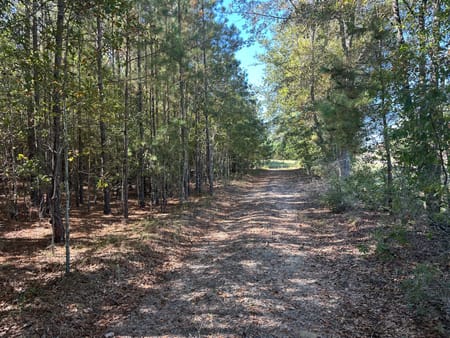 Sylvania, GA 30467 Screven County