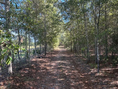 Sylvania, GA 30467 Screven County