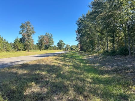 Sylvania, GA 30467 Screven County