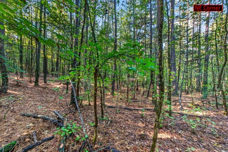 Winterville, GA 30683 Clarke County