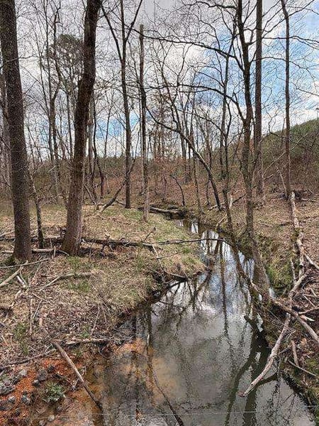 Ranger, GA 30734 Gordon County