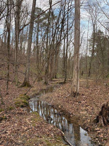 Ranger, GA 30734 Gordon County
