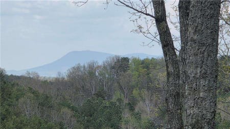 Ranger, GA 30734 Gordon County