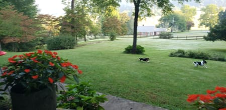 Morganton, GA 30560 Fannin County