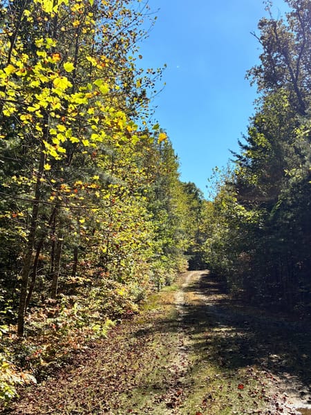 Ellijay, GA 30536 Gilmer County