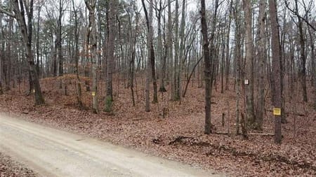 Cedartown, GA 30125 Polk County