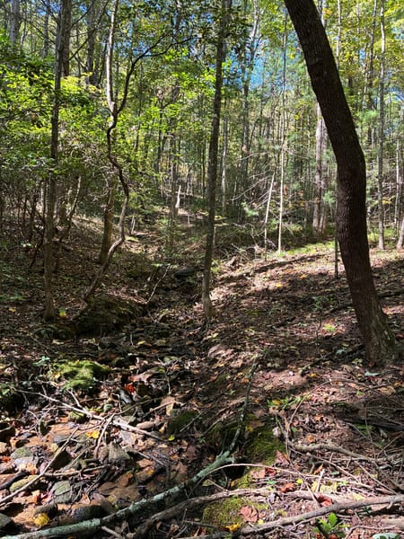 Ellijay, GA 30536 Gilmer County