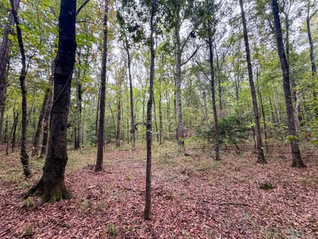 Sandersville, GA 31082 Washington County