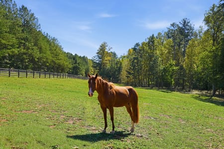 Dawsonville, GA 30534 Dawson County
