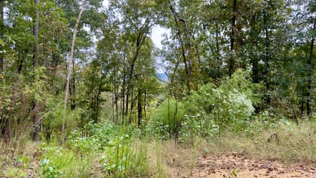 Plainville, GA 30733 Gordon County