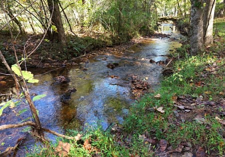 Blairsville, GA 30512 Union County