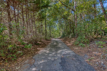 Senoia, GA 30276 Coweta County
