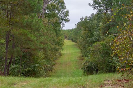 Avera, GA 30803 Jefferson County