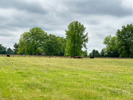 Woodbury, GA 30293 Meriwether County