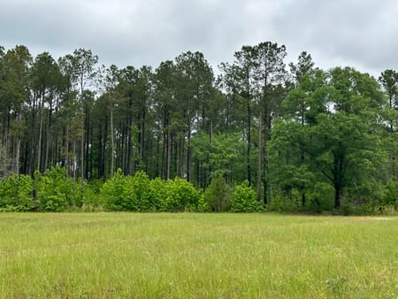 Woodbury, GA 30293 Meriwether County