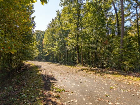 Ellijay, GA 30540 Gilmer County