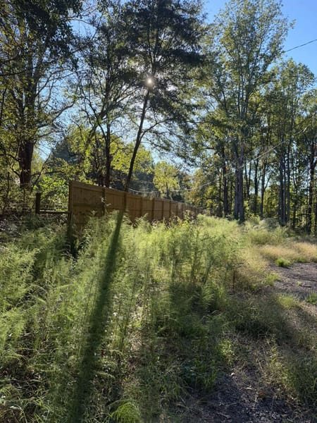 Nicholson, GA 30565 Jackson County