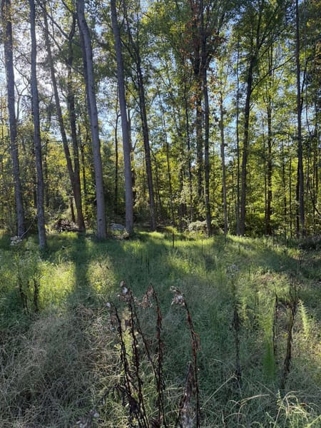 Nicholson, GA 30565 Jackson County