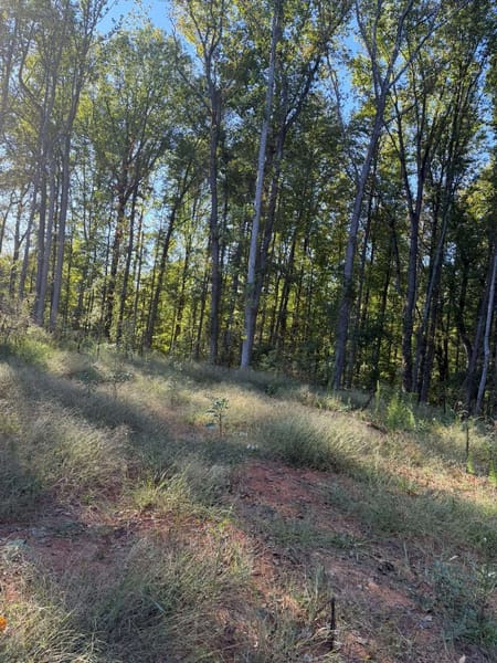 Nicholson, GA 30565 Jackson County