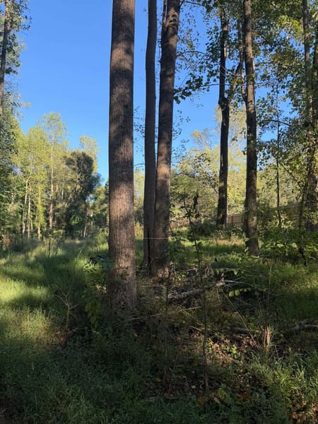 Nicholson, GA 30565 Jackson County