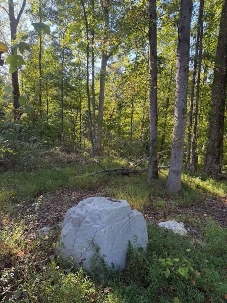 Nicholson, GA 30565 Jackson County