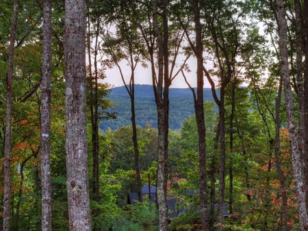 Morganton, GA 30560 Fannin County