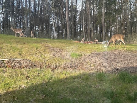Chattahoochee Hills, GA 30268 Fulton County