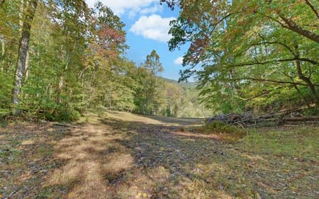 Hiawassee, GA 30546 Towns County