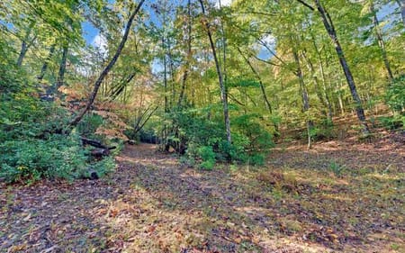 Hiawassee, GA 30546 Towns County