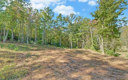 Hiawassee, GA 30546 Towns County