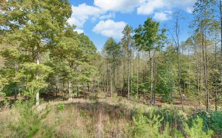 Hiawassee, GA 30546 Towns County