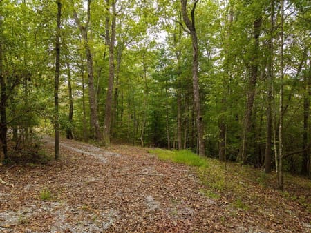 Ellijay, GA 30540 Gilmer County