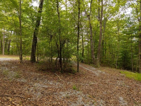 Ellijay, GA 30540 Gilmer County