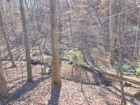 Murrayville, GA 30564 Hall County