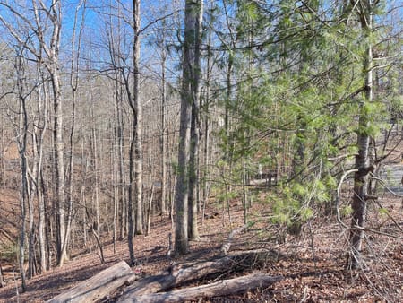 Murrayville, GA 30564 Hall County