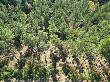 Ellijay, GA 30540 Gilmer County