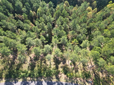 Ellijay, GA 30540 Gilmer County