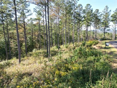Ellijay, GA 30540 Gilmer County
