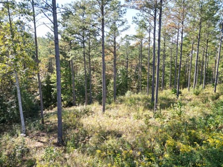 Ellijay, GA 30540 Gilmer County