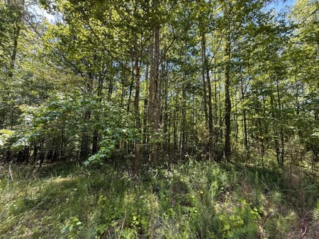 Bremen, GA 30110 Carroll County