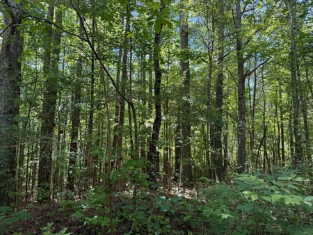 Bremen, GA 30110 Carroll County