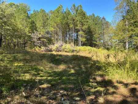 Waco, GA 30182 Carroll County