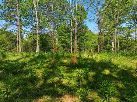 Dahlonega, GA 30533 Lumpkin County